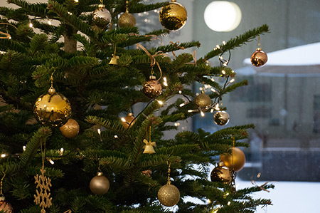 diw weihnachtsbaum