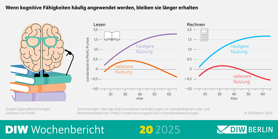 Die Abbildung zeigt die INfografik des DIW Wochenberichts 20/2025 mit dem Bildtitel: Wenn kognitive Fähigkeiten häufig angewendet werden, bleiben sie länger erhalten Beschreibung: Das Bild zeigt eine Infografik, die den Einfluss der häufigen Anwendung kognitiver Fähigkeiten auf deren Erhalt über das Alter hinweg darstellt. Es wird die kumulierte Veränderung von standardisierten Lese- und Rechenkompetenzen über das Alter hinweg gezeigt. Visuelle Elemente: Diagramm: Ein Liniendiagramm zeigt die Veränderungen der kognitiven Fähigkeiten über das Alter. Die x-Achse repräsentiert das Alter. Die y-Achse zeigt die kumulierten Veränderungen der kognitiven Fähigkeiten in Standardabweichungen. Linien: Eine Linie zeigt die Veränderungen der Lesekompetenzen. Eine weitere Linie zeigt die Veränderungen der Rechenkompetenzen. Symbole: Symbole oder Markierungen könnten spezifische Ereignisse oder Zeitpunkte hervorheben, die die kognitiven Fähigkeiten beeinflusst haben. Zusätzliche Informationen: Die Infografik basiert auf eigenen Berechnungen auf Basis von PIAAC (Programme for the International Assessment of Adult Competencies). Die PIAAC-Punkte sind in Standardabweichungen ausgedrückt. Die Quelle der Daten ist das DIW Berlin, 2025. Diese Beschreibung bietet einen Überblick über die Auswirkungen der häufigen Anwendung kognitiver Fähigkeiten auf deren Erhalt über das Alter hinweg.