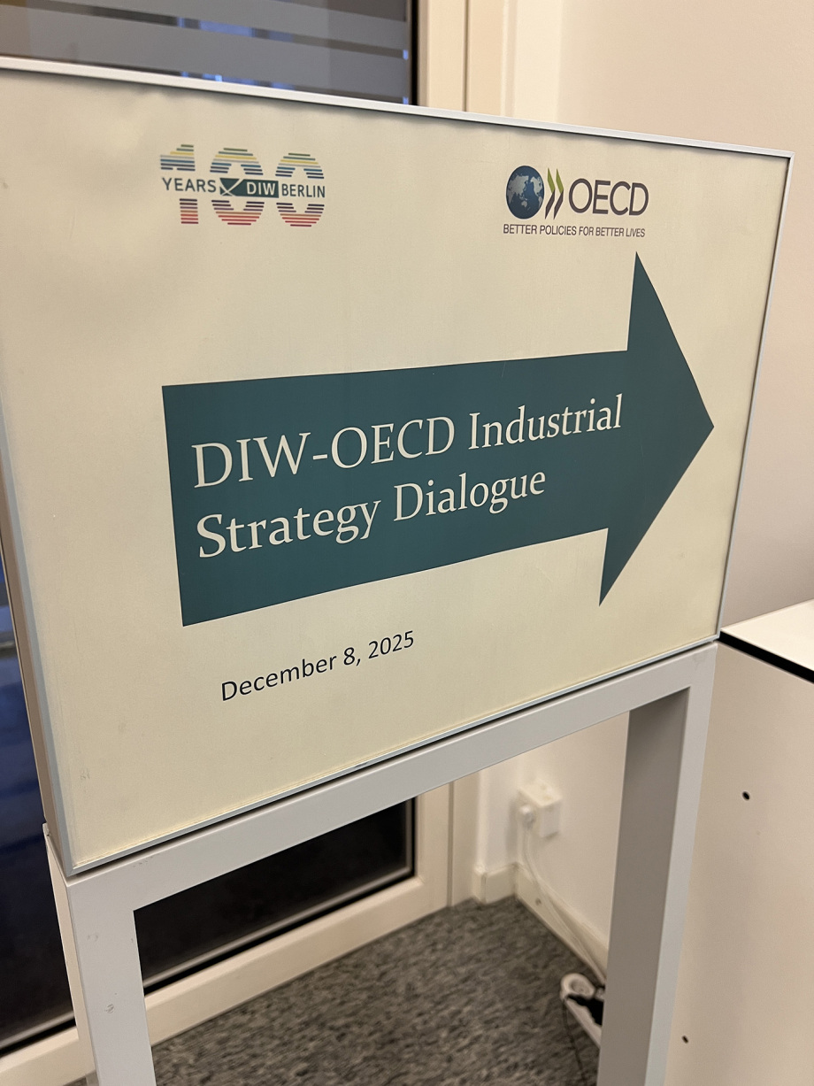 Signpost to the first DIW-OECD Industrial Strategy Dialogue