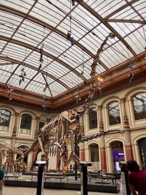 Museum für Naturkunde Berlin