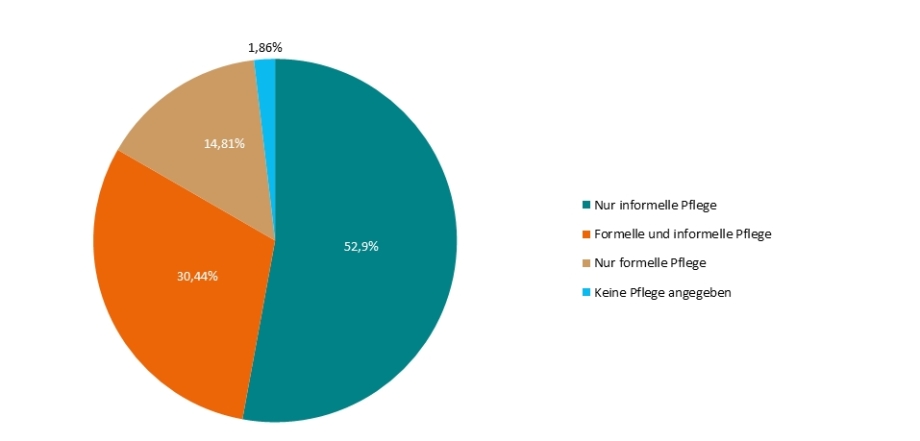 Quelle: Sozio-oekonomisches Panel (soep.v35).; Haushalte mit Pflegebedarf nach Art des Pflegearrangements; Anteile in Prozent<br />
