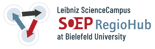 SOEP RegioHub Logo